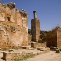 Les ruines du Chellah à Rabat
