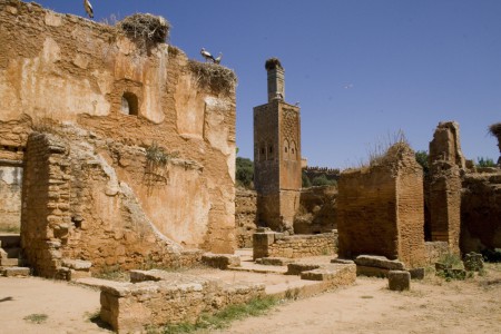 Ruines du Chellah à Rabat